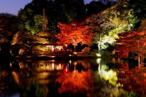 東京秋季紅葉節慶4天之旅