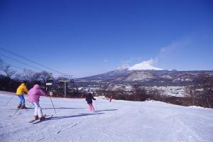 東京輕井澤冬季滑雪溫泉5天之旅