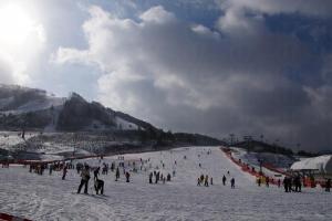 韓國滑雪@Alpensia Ski Resort